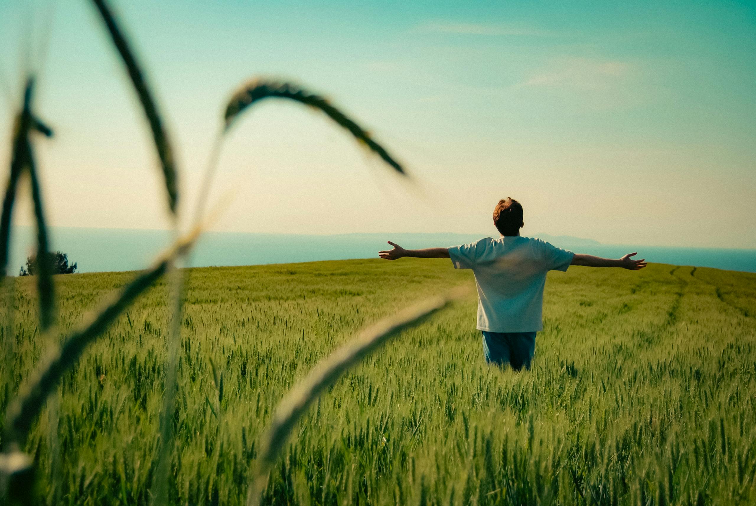 A person with outstretched arms in a lush green field under a clear blue sky in Bursa, Türkiye.