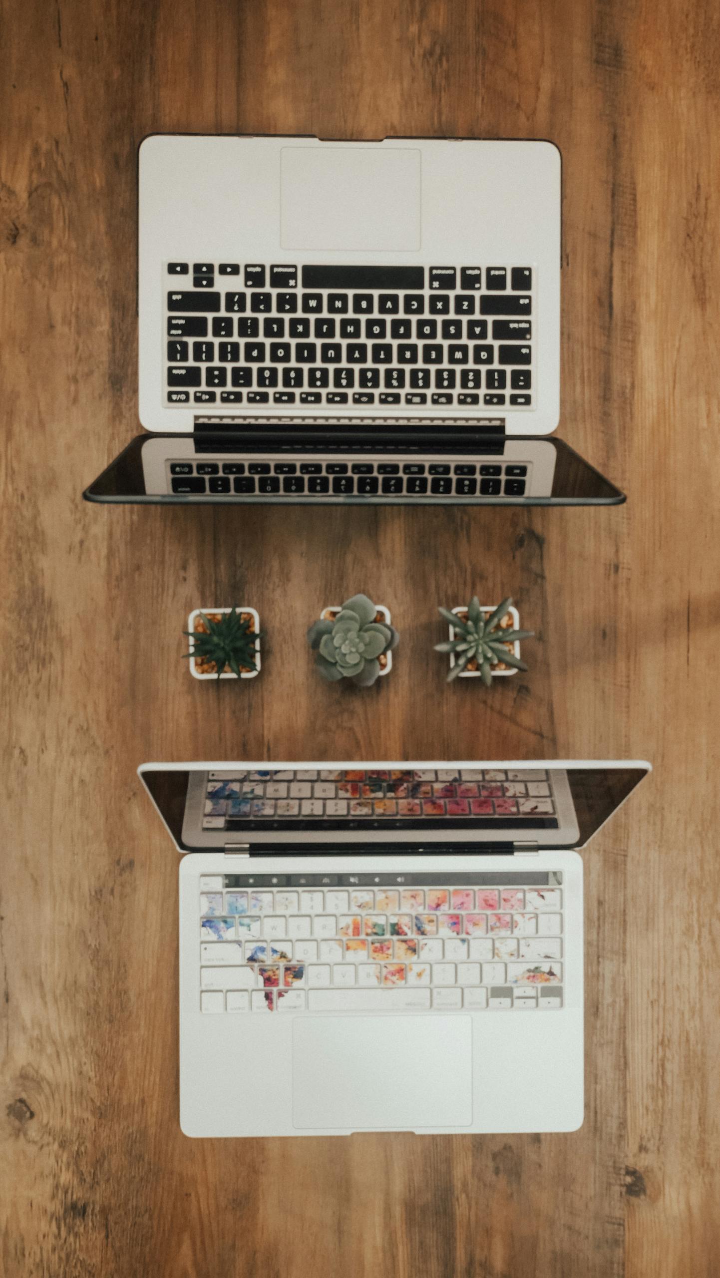 Top view of two laptops and succulents on a wooden desk for a stylish workspace setting.